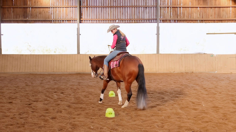 Ranch Riding: Backup Serpentinen